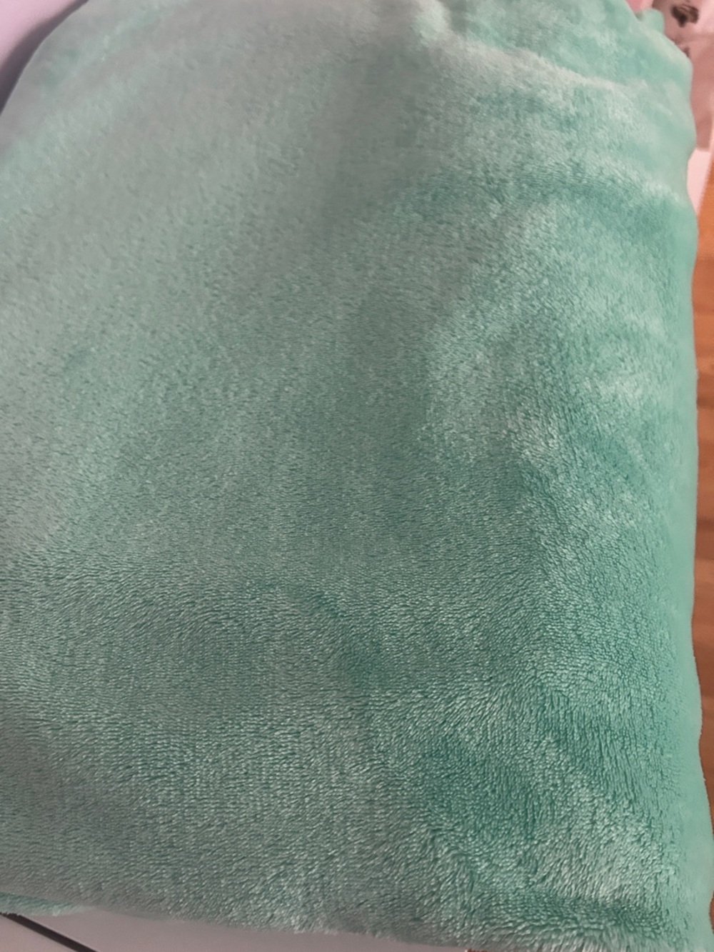 GC Twin/Twin XL Soft Plush Throw Blanket in Mint Green